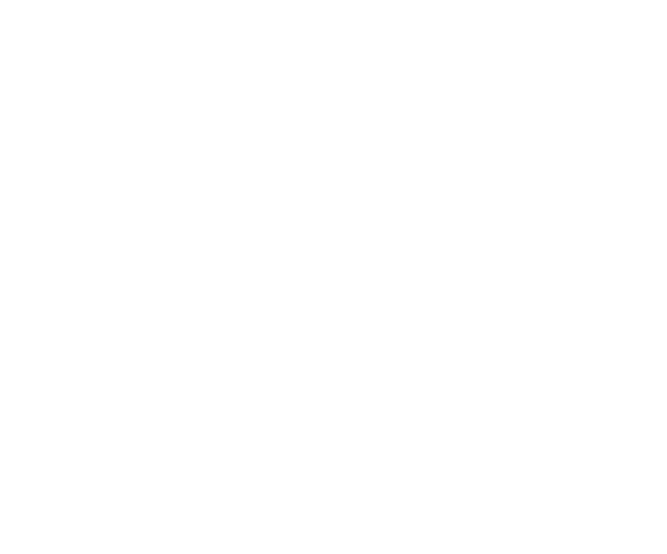 Prometheus Forensic Services